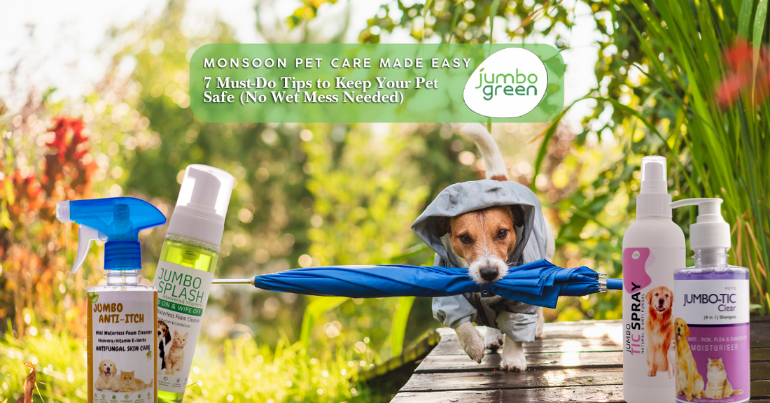 Monsoon Pet Care Made Easy: 7 Must-Do Tips to Keep Your Pet Safe (No Wet Mess Needed)