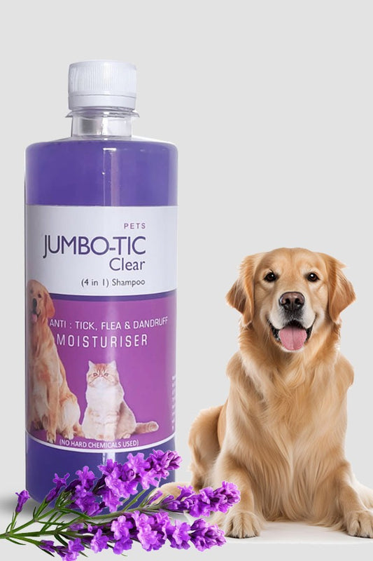 Reasons for Hair Loss in Dogs & Cats