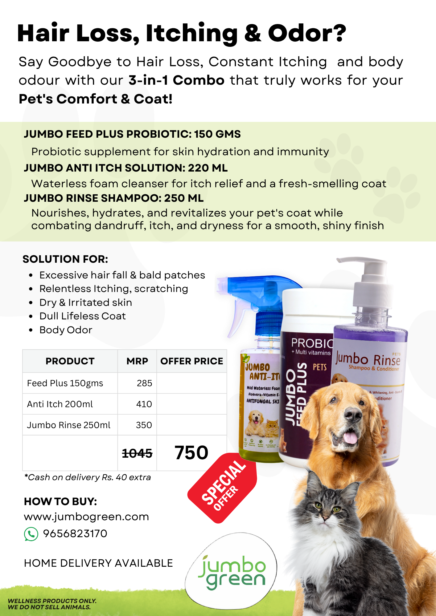 Hair Loss, Itching & Odor - Regular