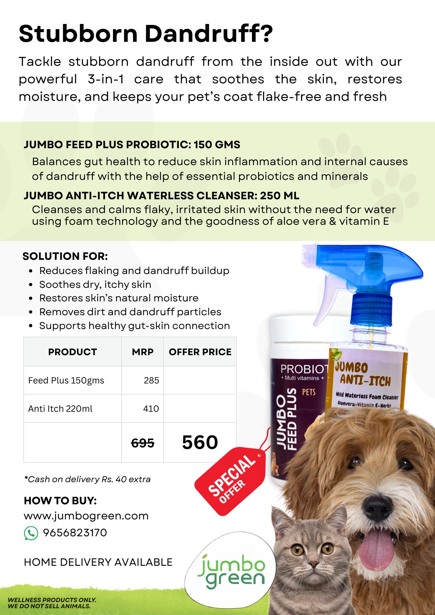 Stubborn Dandruff - Economy