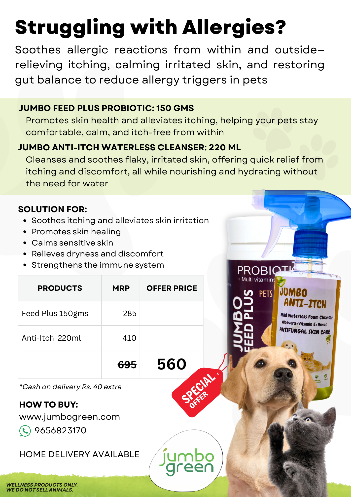 Struggling with Allergies - Economy