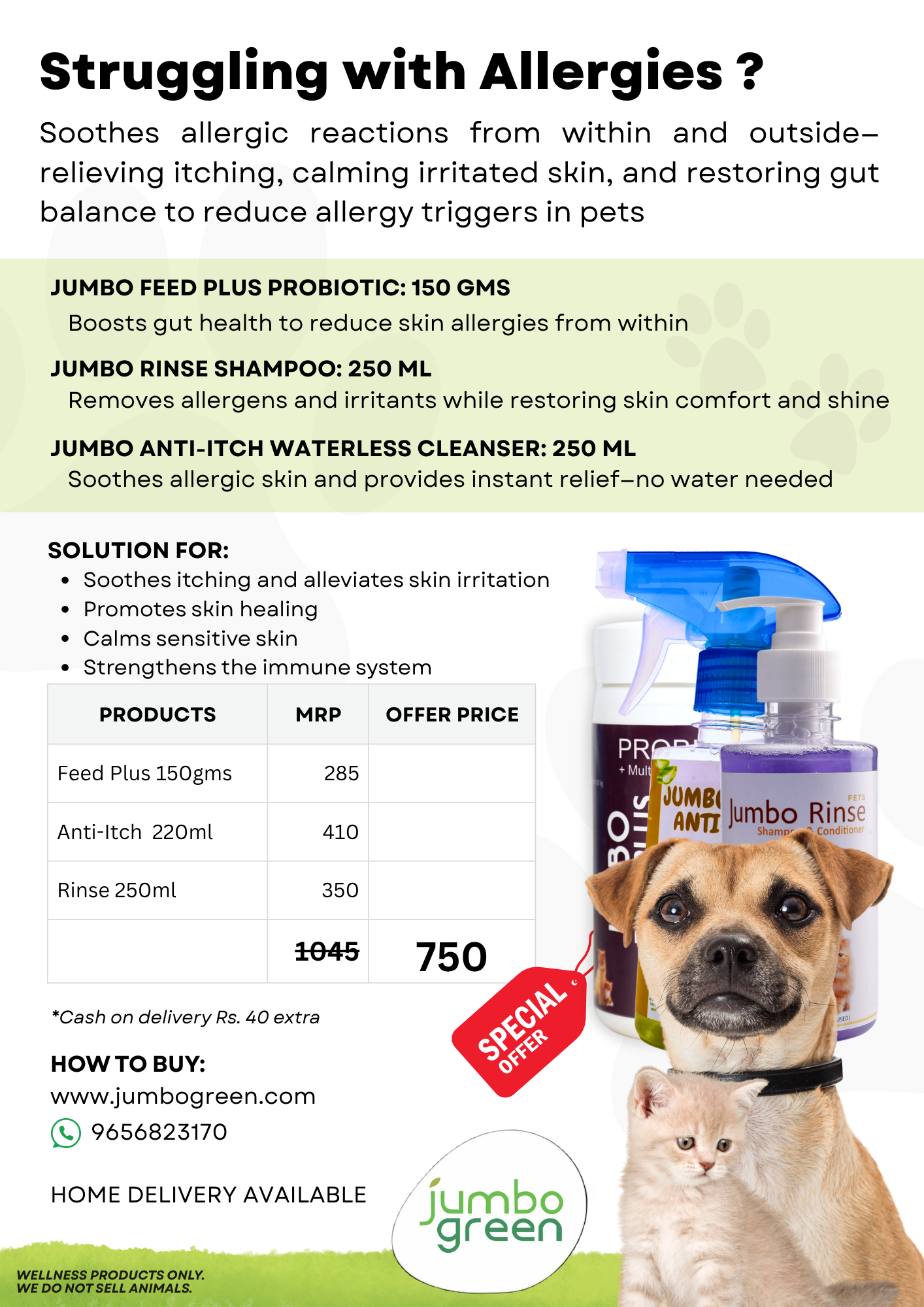 Struggling with Allergies - Regular