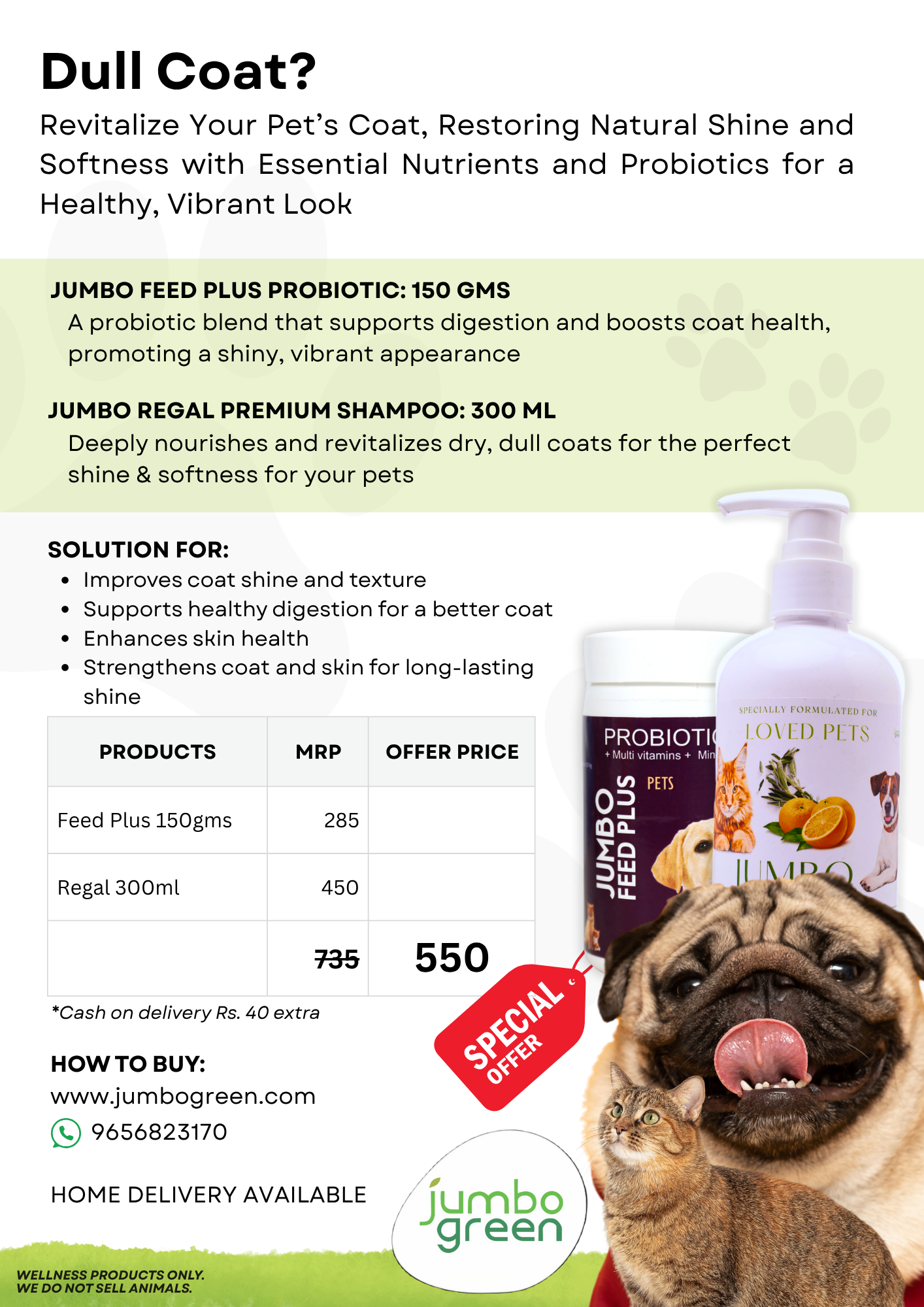 Dull Coat - Sensitive Skin