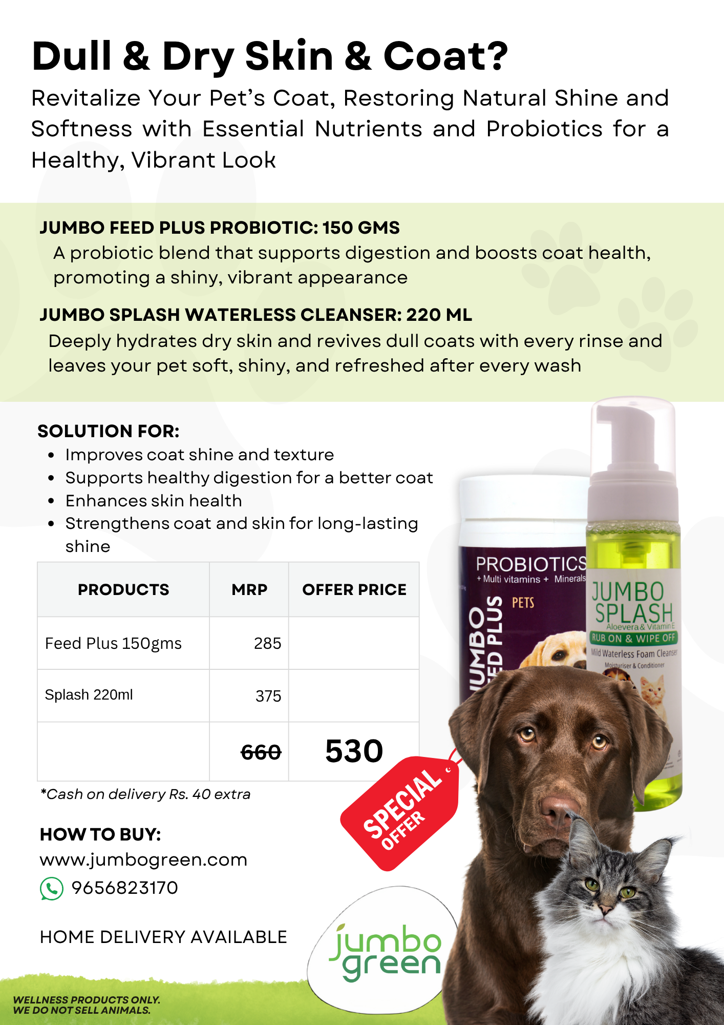 Dull Coat & Dry Skin - Economy
