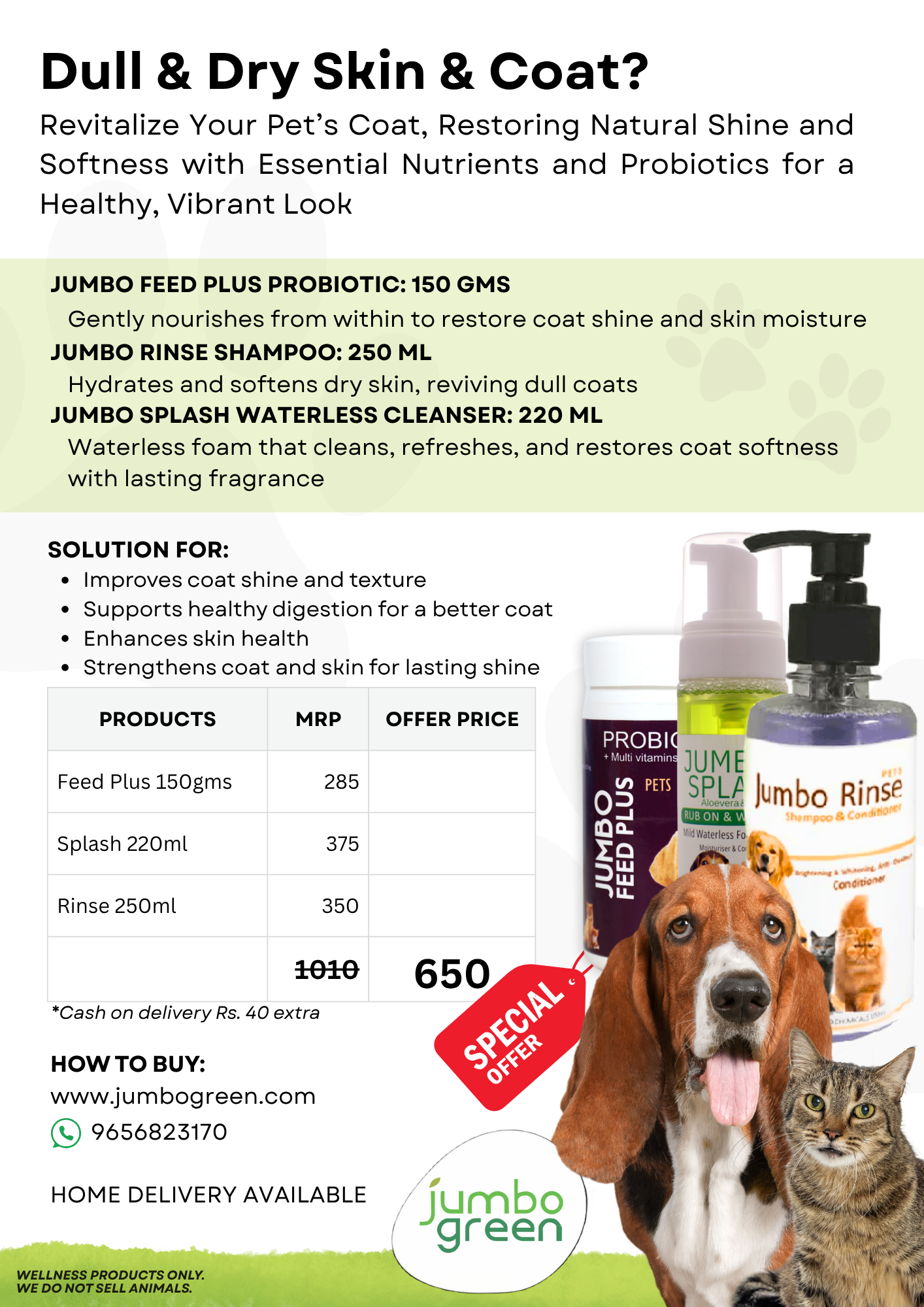 Dull Coat & Dry Skin - Regular