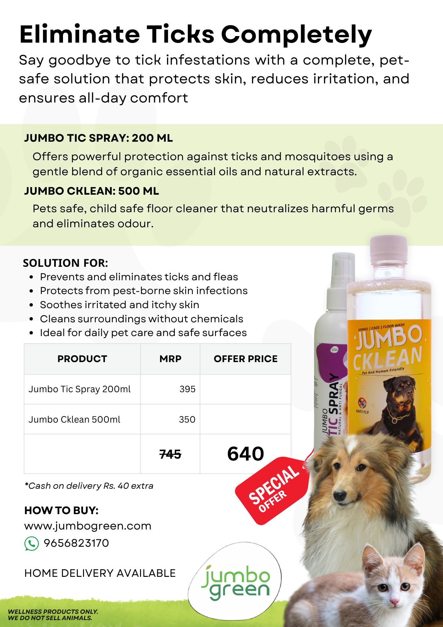 Ticks & Fleas Infestation - Economy