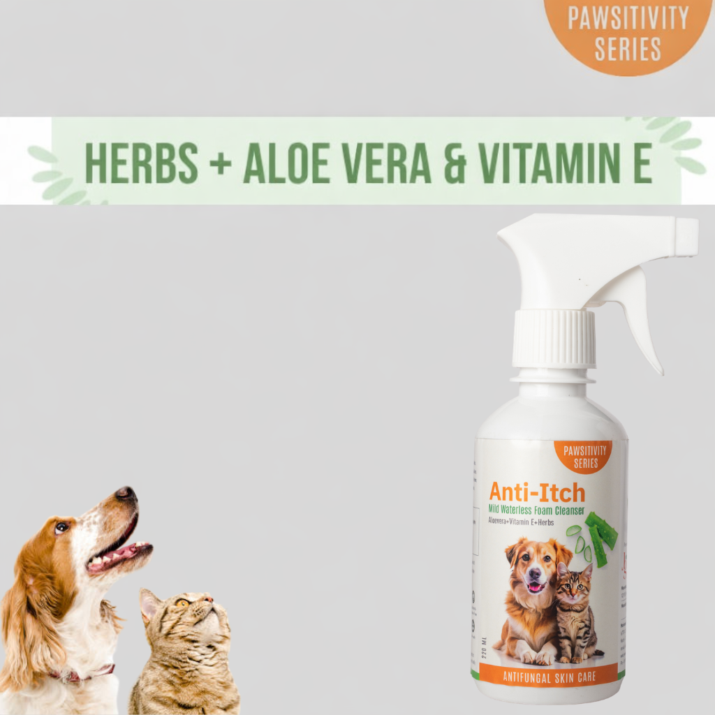 Jumbo Anti-Itch | Anti Fungal Waterless Cleanser