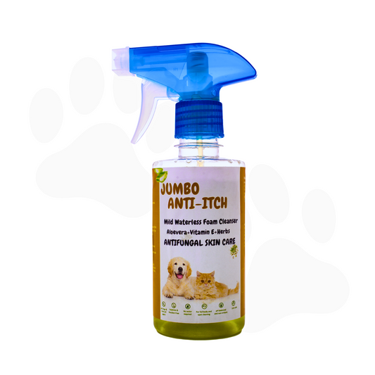 Jumbo Anti-Itch | Anti Fungal Waterless Cleanser