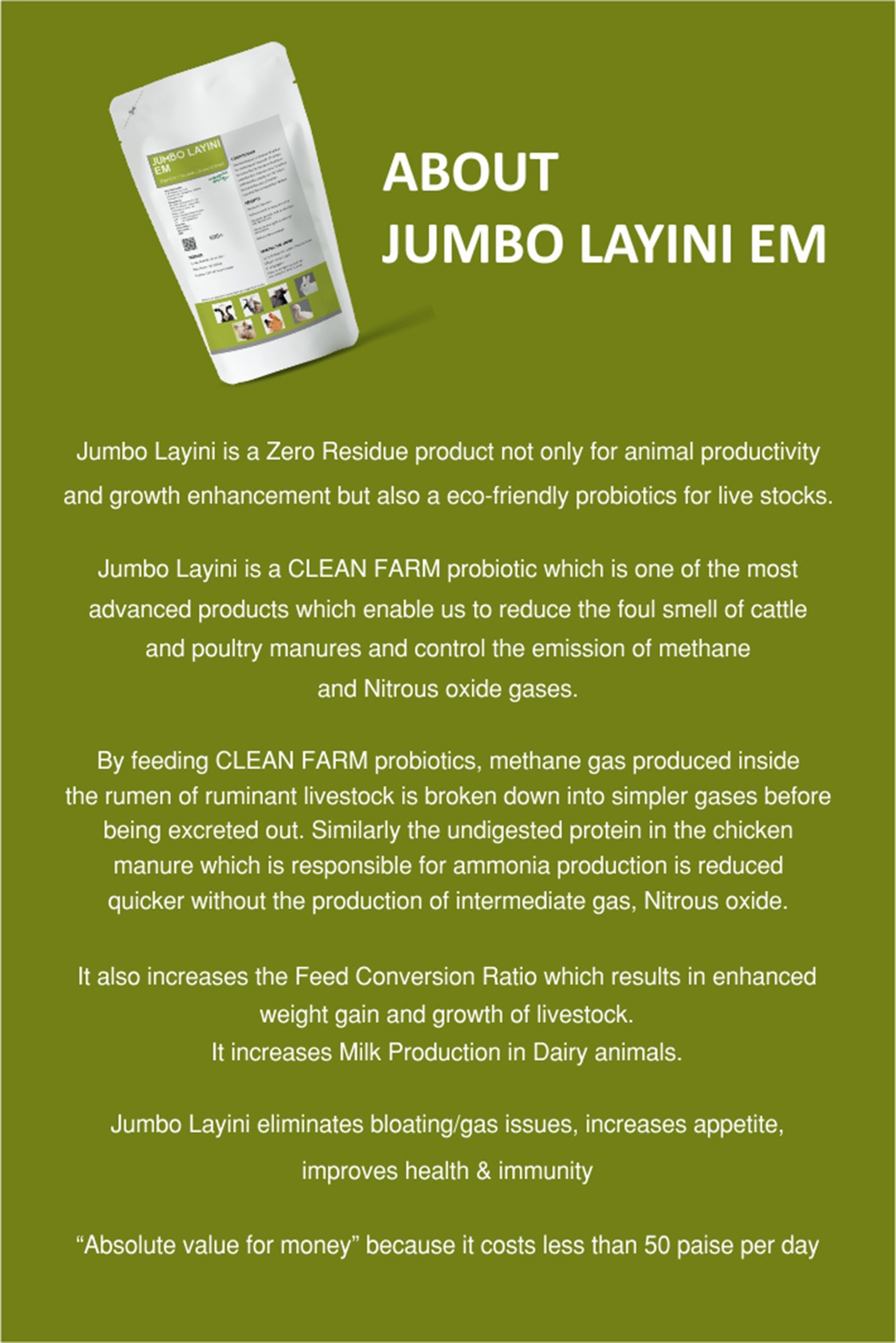 ജംബോ ലയിനി ഇഎം 500 ഗ്രാം