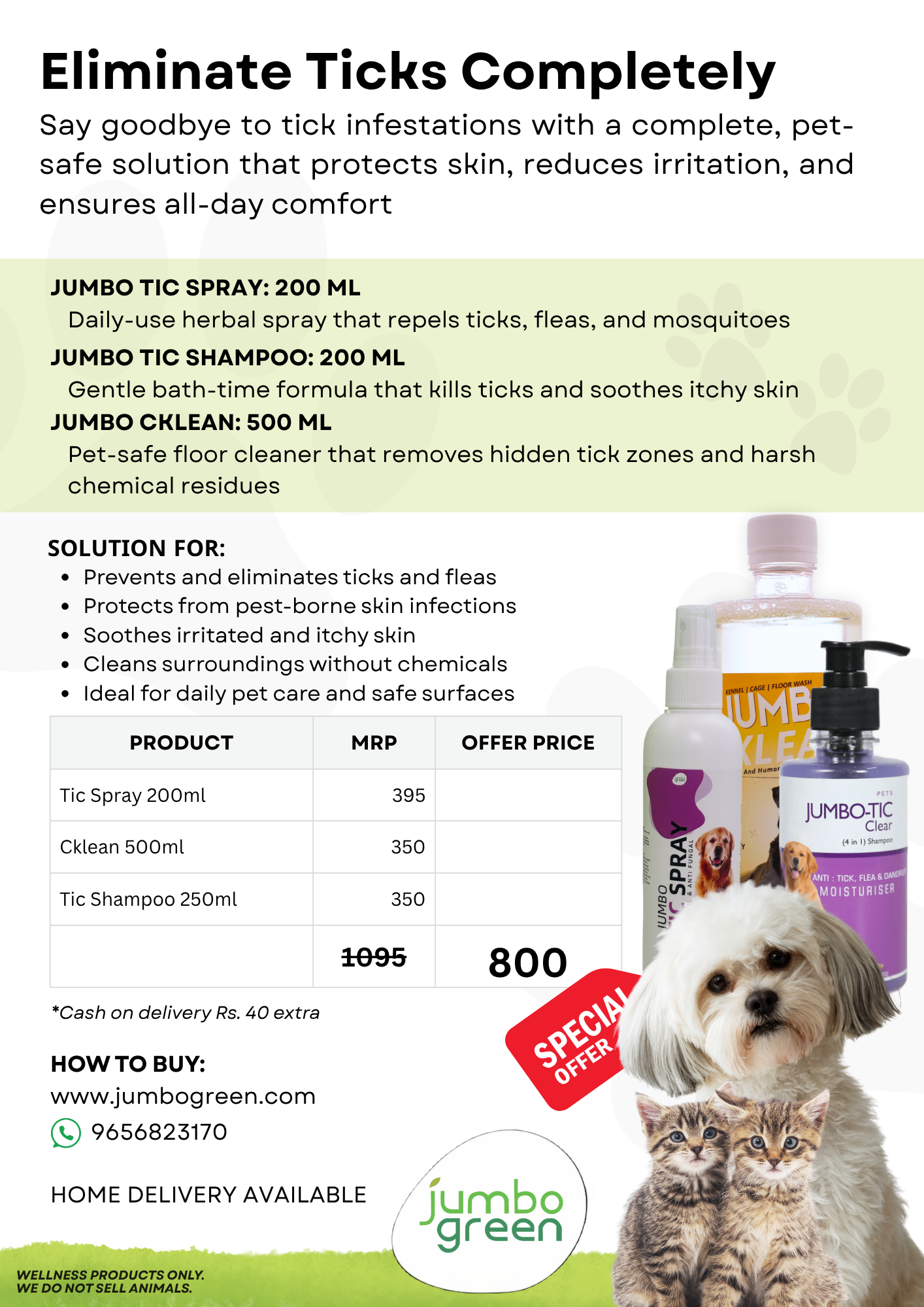 Ticks & Fleas Infestation - All-In-One