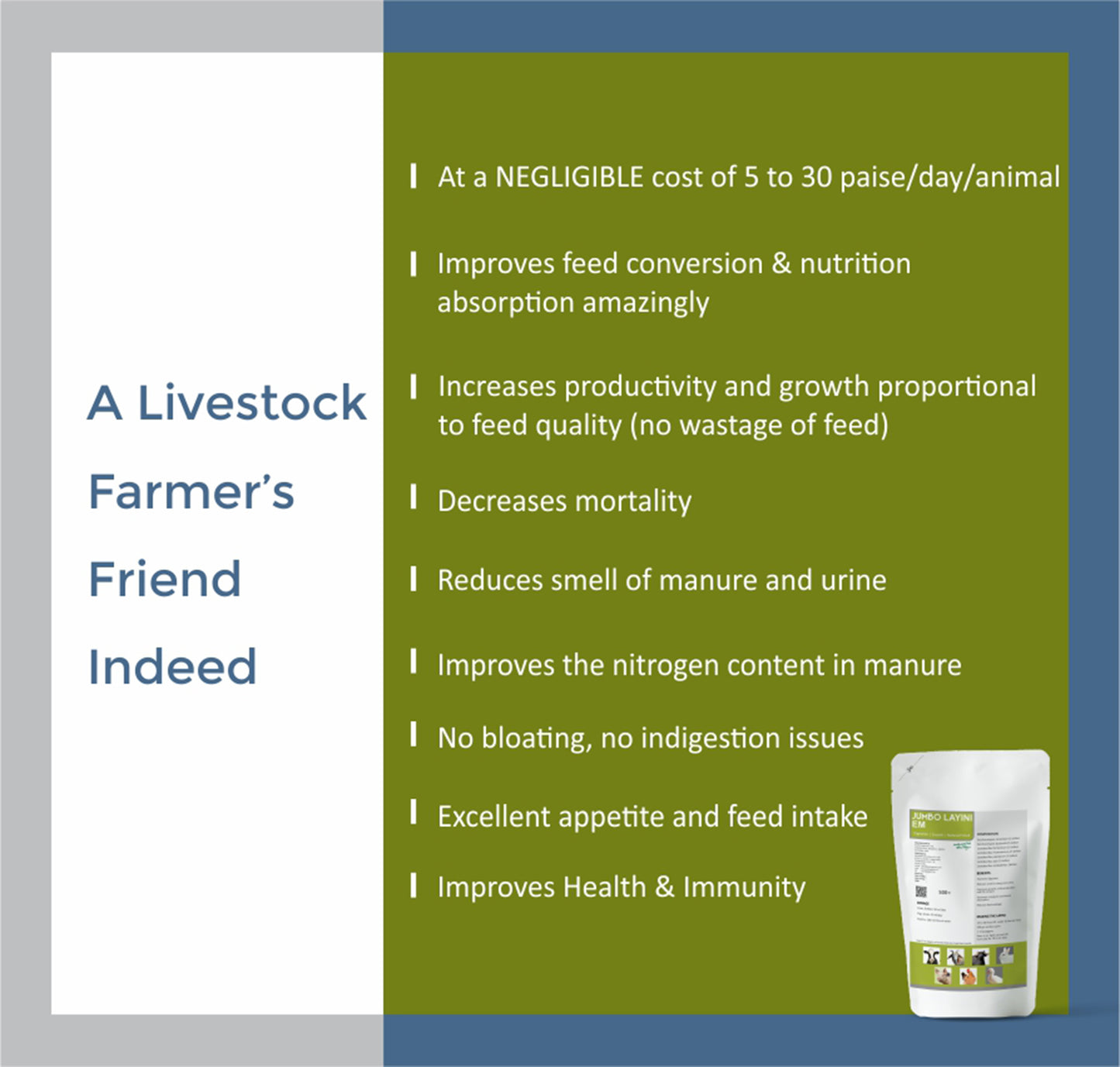 ജംബോ ലയിനി ഇഎം 500 ഗ്രാം