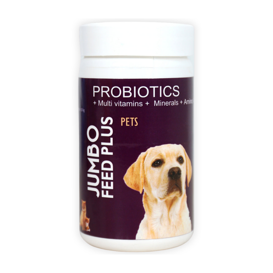 Jumbo Feed Plus Pets probiotics container with a dog on the label
