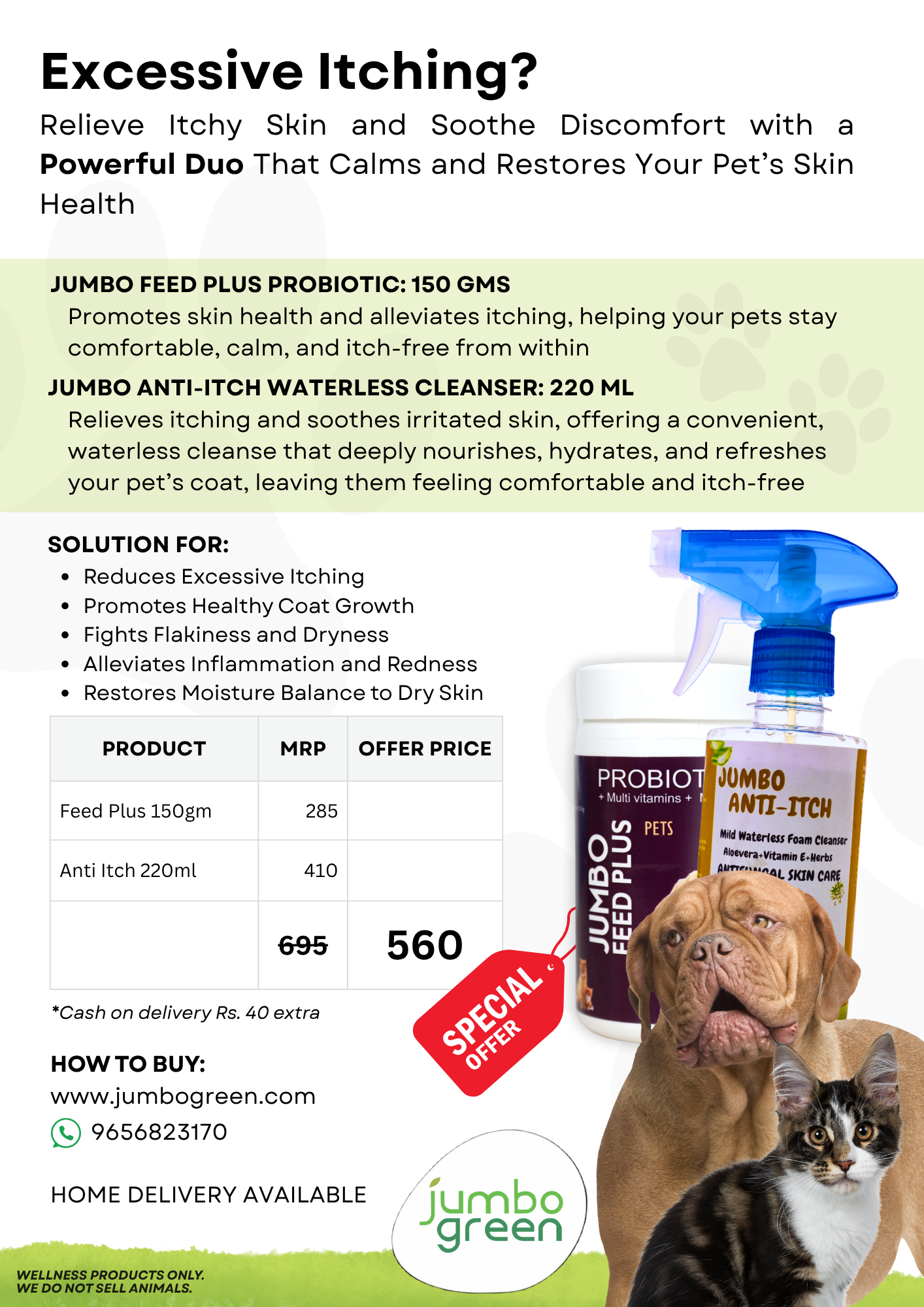 Excessive Itching - Economy