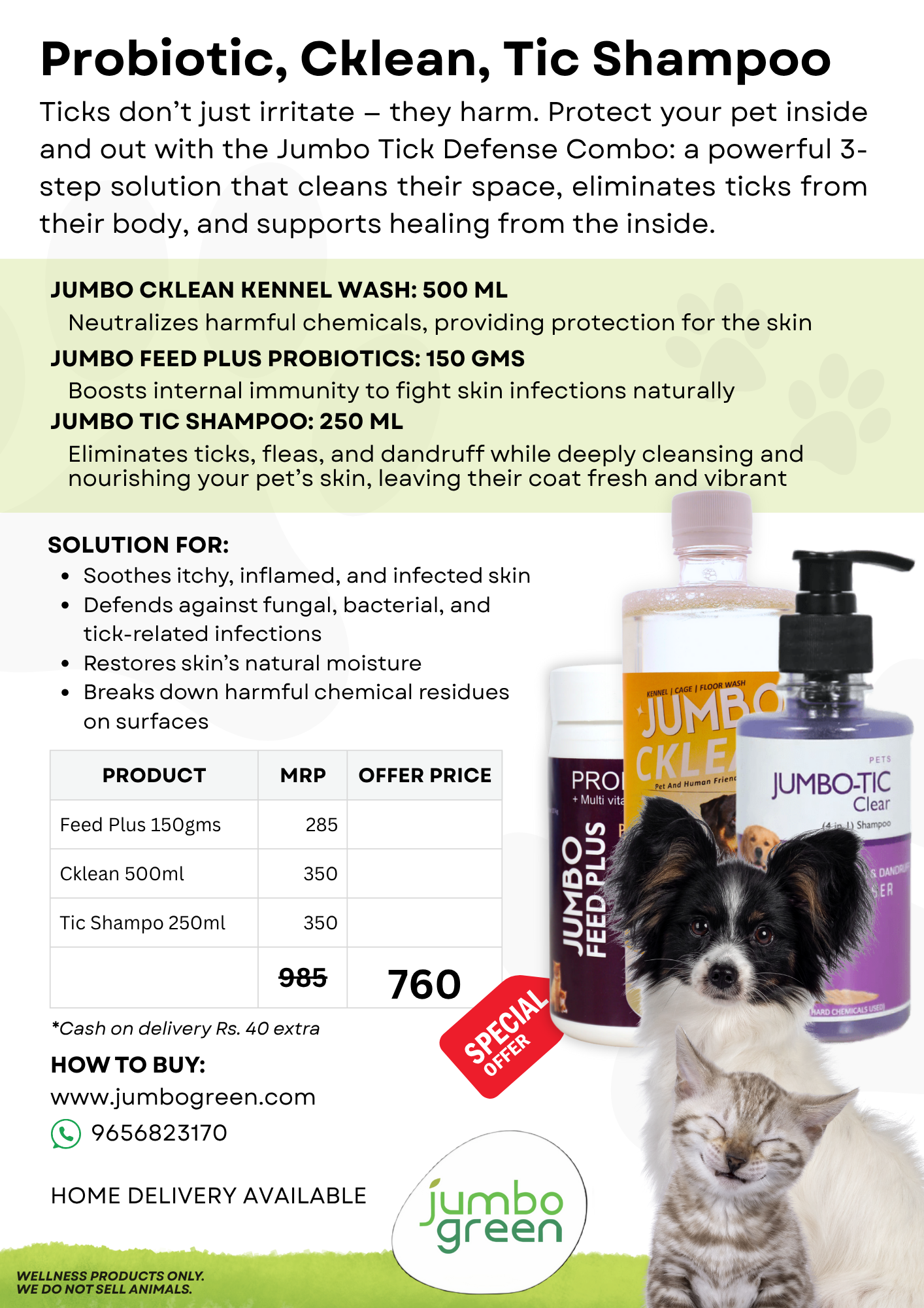 Ticks & Fleas Infestation - Regular