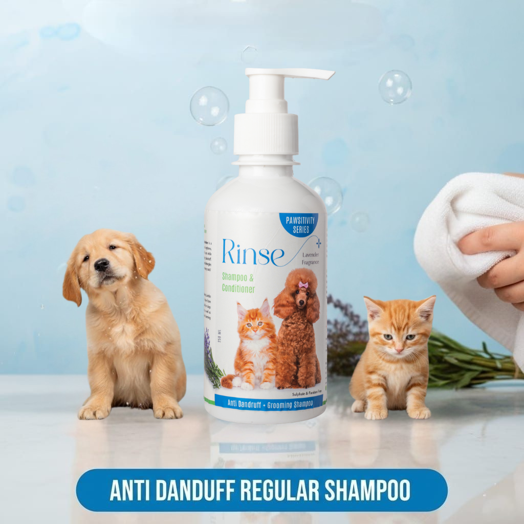 Jumbo Rinse Shampoo : Anti Dandruff + Grooming Shampoo