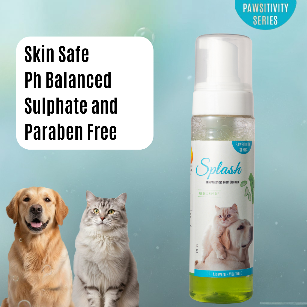 Jumbo Splash Aloevera & Vitamin E