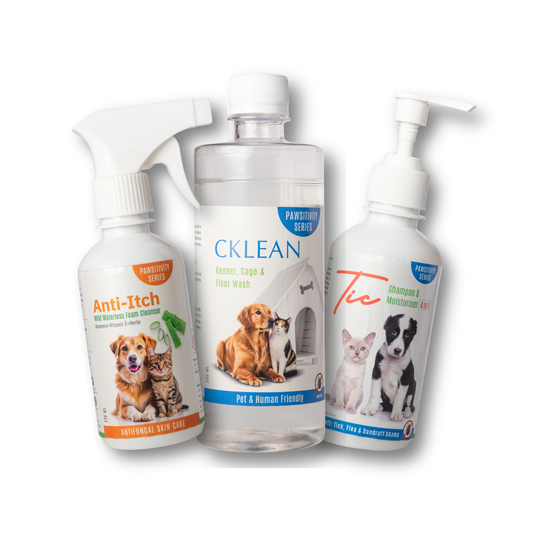 Ticks & Fleas Infestation