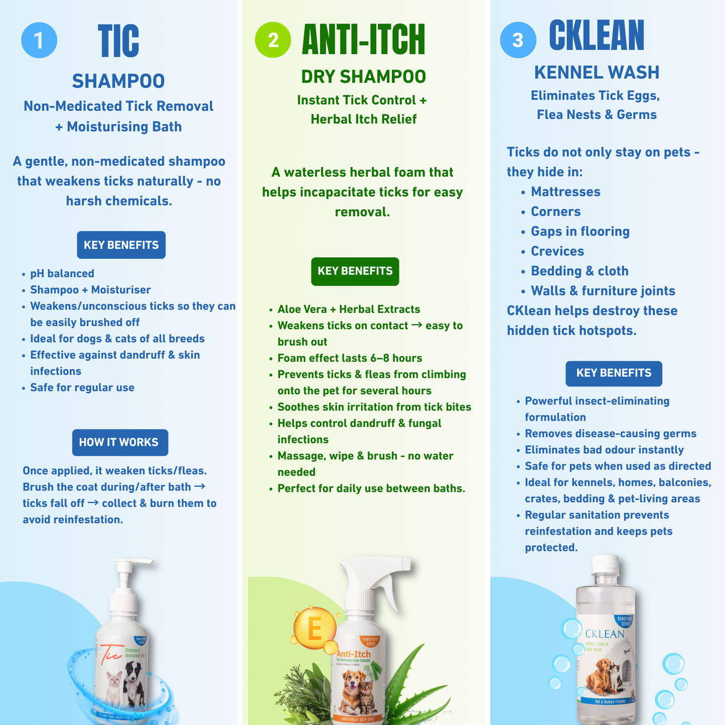 Ticks & Fleas Infestation