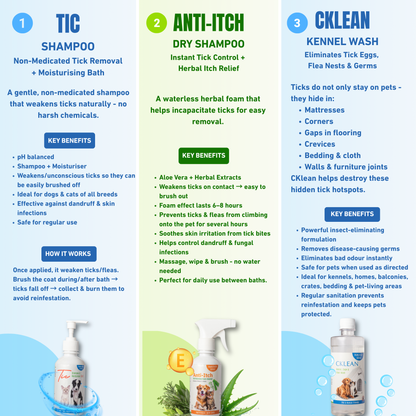 Ticks & Fleas Infestation