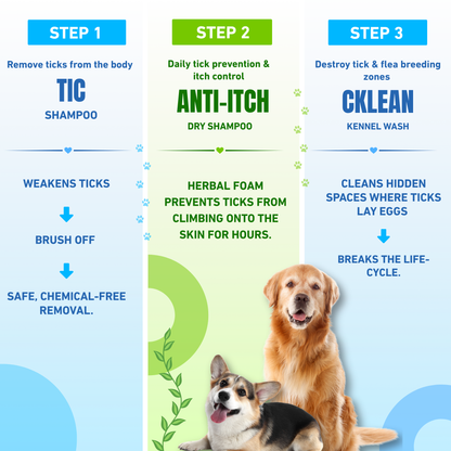 Ticks & Fleas Infestation
