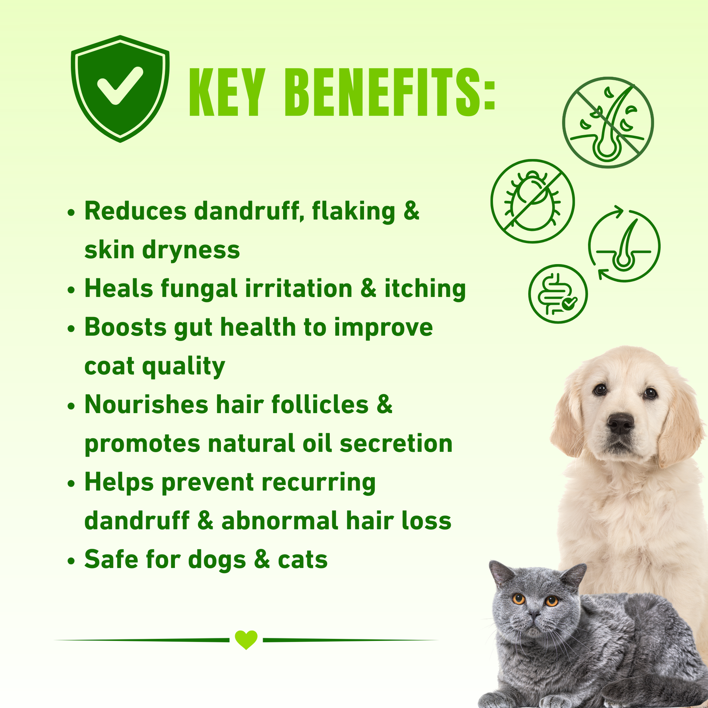 Dandruff - Sensitive Skin