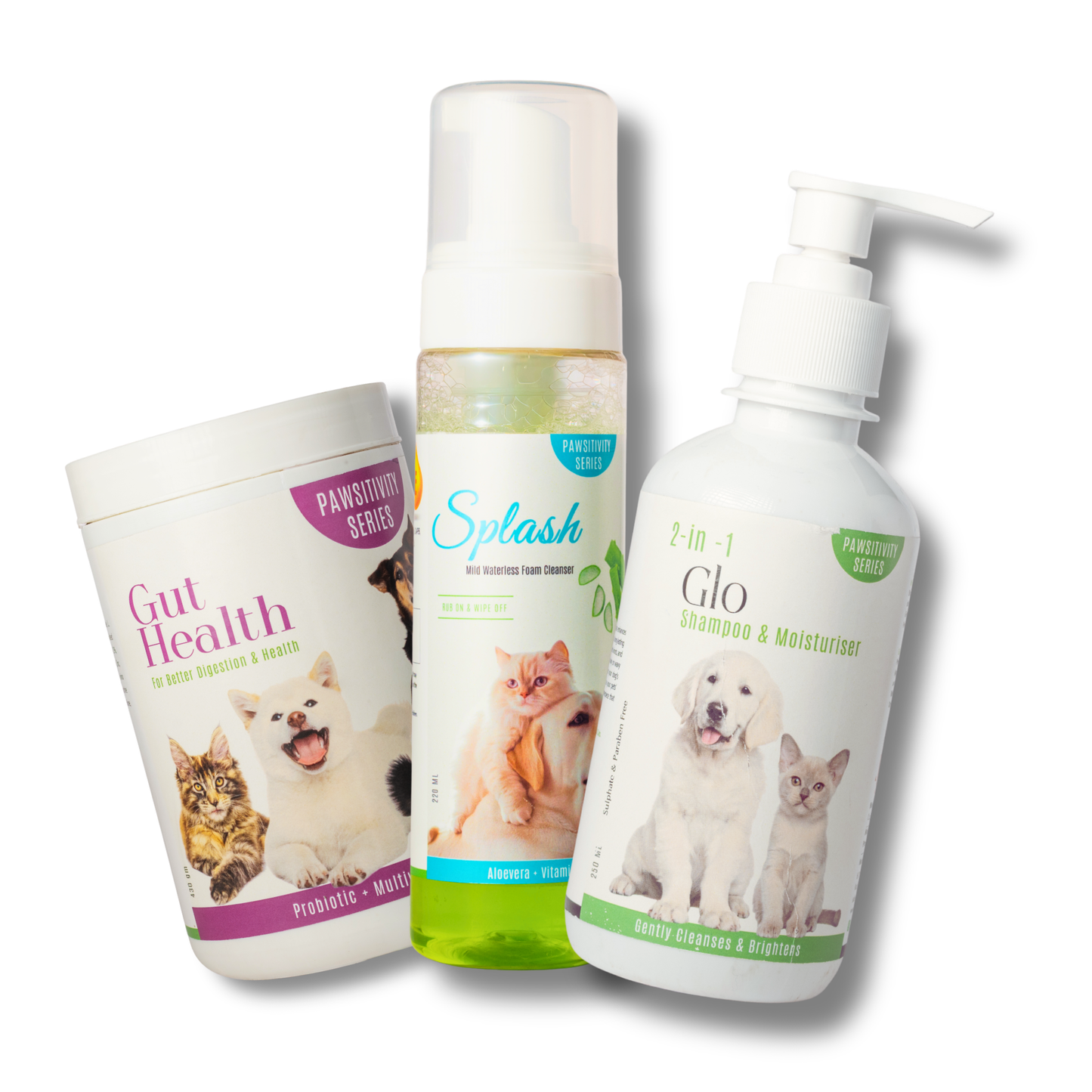 Healthy Skin & Coat Premium