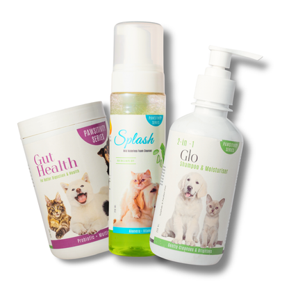 Healthy Skin & Coat Premium