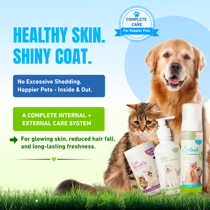 Healthy Skin & Coat Premium