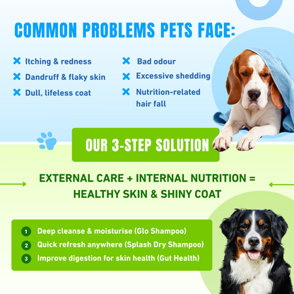 Healthy Skin & Coat Premium