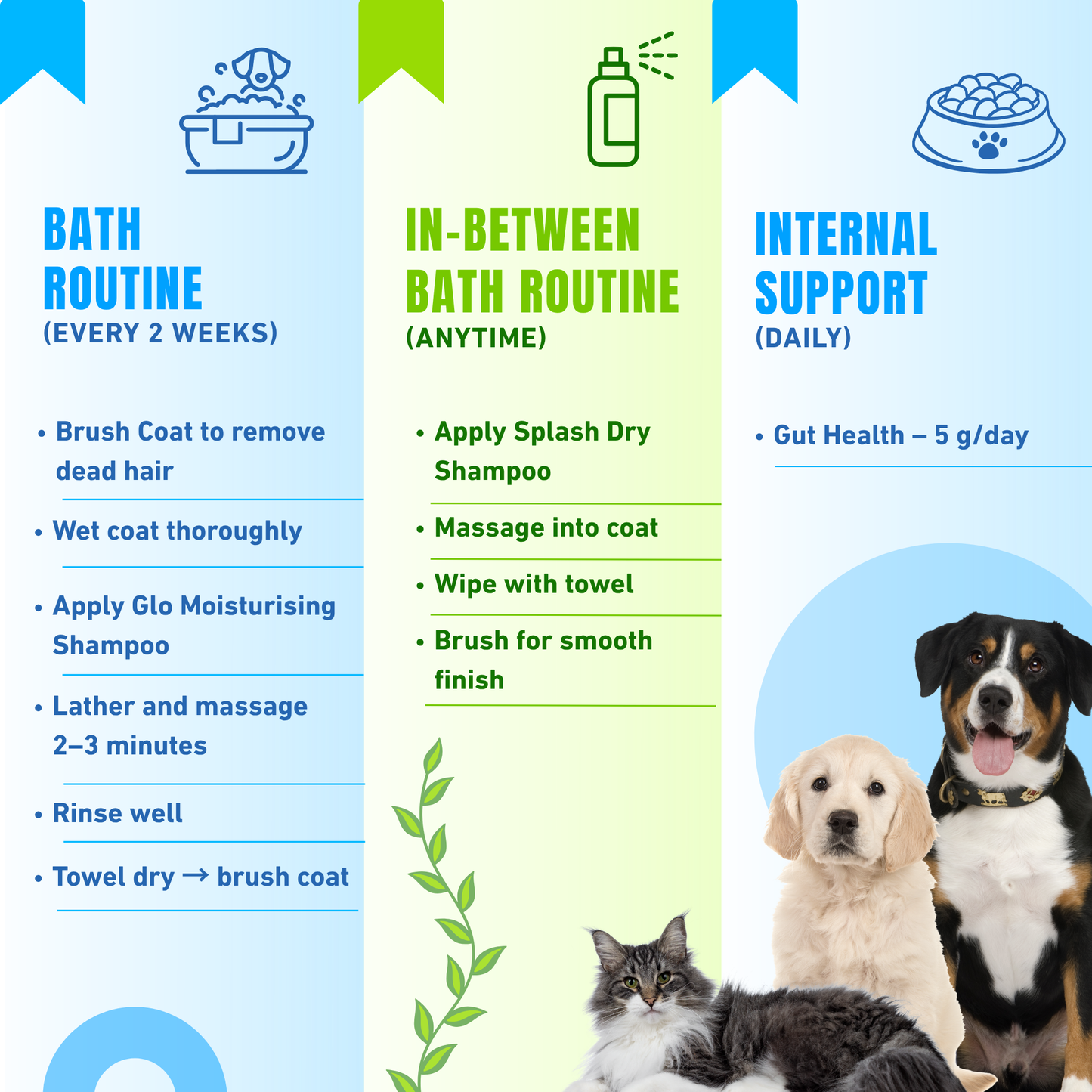 Healthy Skin & Coat Premium