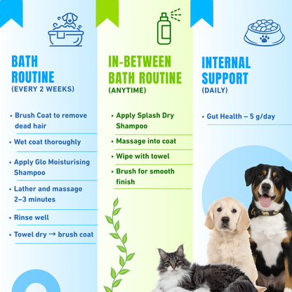 Healthy Skin & Coat Premium