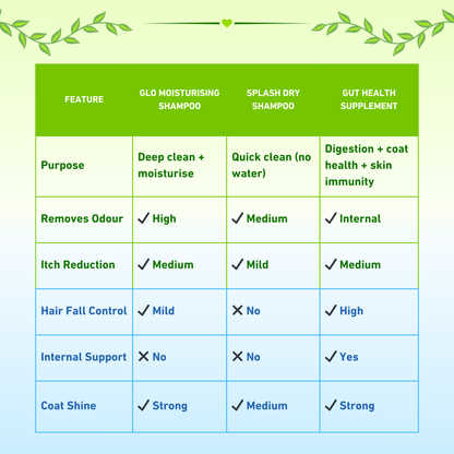 Healthy Skin & Coat Premium