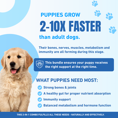 Puppy Growth Premium Combo