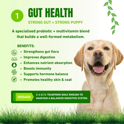 Puppy Growth Premium Combo
