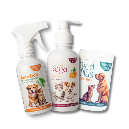 Struggling with Allergies - Regular