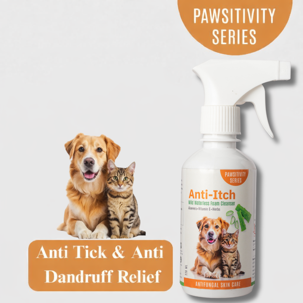 Jumbo Anti-Itch | Anti Fungal Waterless Cleanser