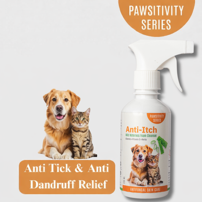 Jumbo Anti-Itch | Anti Fungal Waterless Cleanser