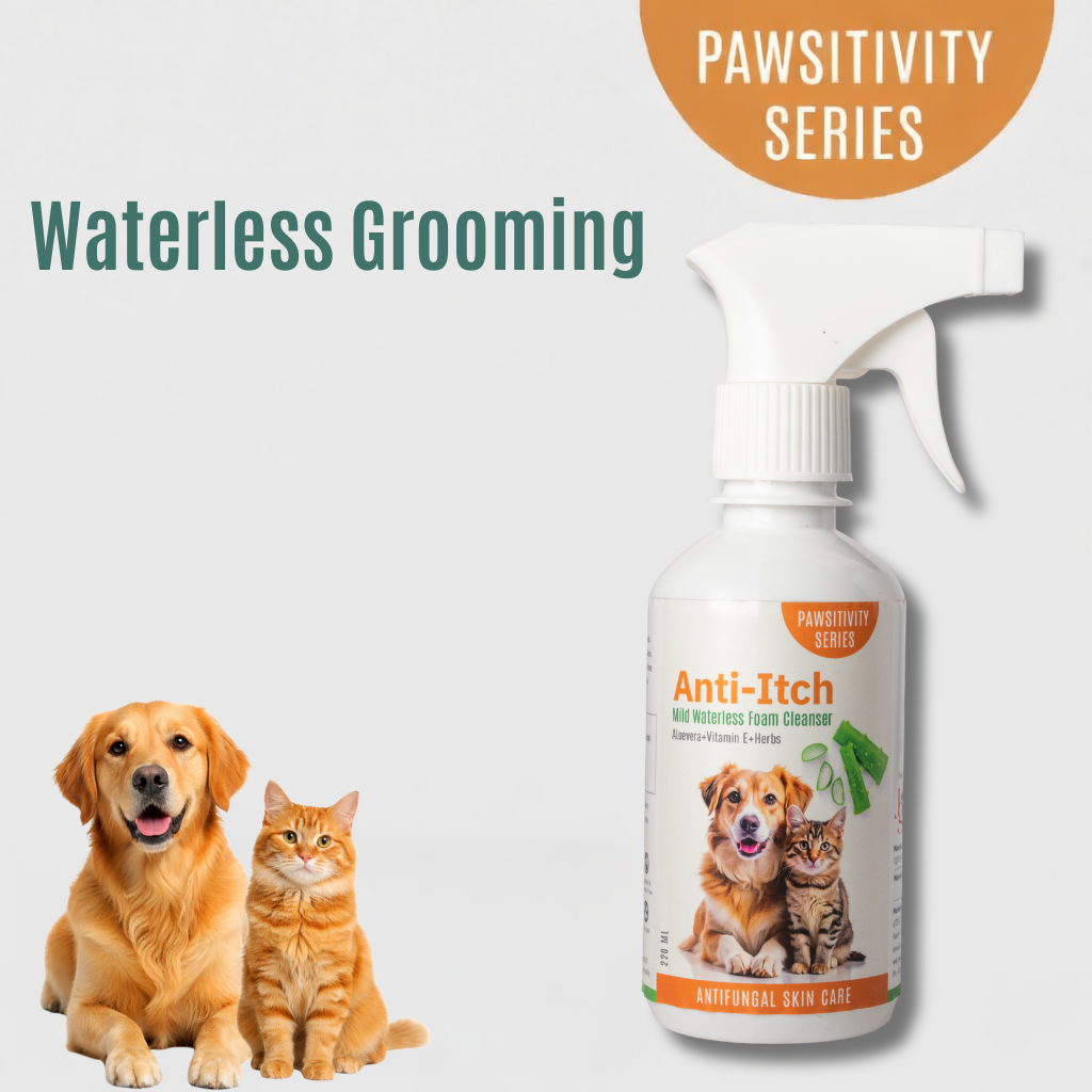 Jumbo Anti-Itch | Anti Fungal Waterless Cleanser