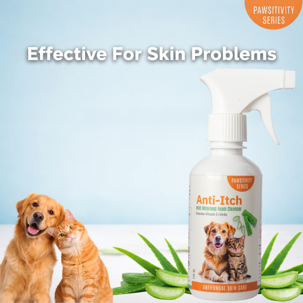 Jumbo Anti-Itch | Anti Fungal Waterless Cleanser