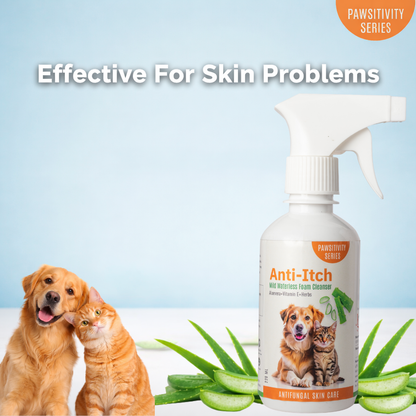 Jumbo Anti-Itch | Anti Fungal Waterless Cleanser