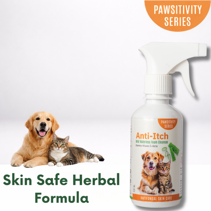 Jumbo Anti-Itch | Anti Fungal Waterless Cleanser