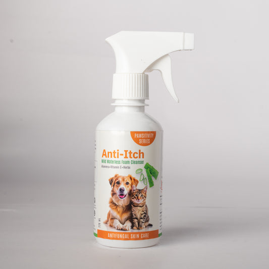 Jumbo Anti-Itch | Anti Fungal Waterless Cleanser