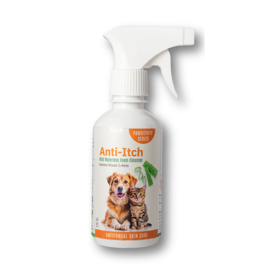 Jumbo Anti-Itch | Anti Fungal Waterless Cleanser