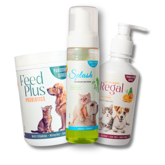 Bad Odour & Hair Loss Combo - Regular