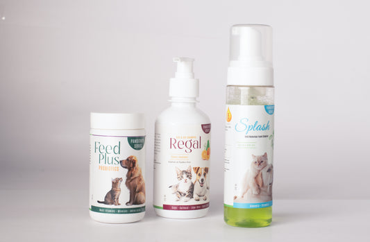 Body Odour & Hairloss Economy Combo