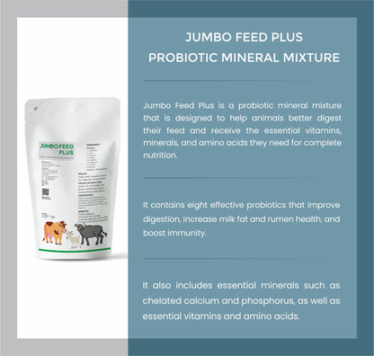 Jumbo Feed Plus Cattle 500 gm (Probiotic Mineral Mixture)