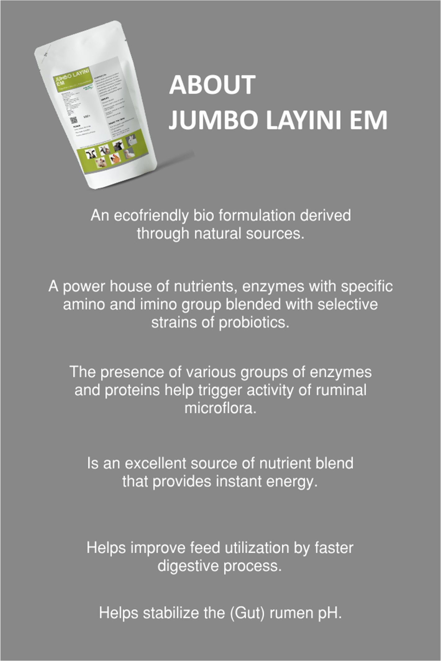 Jumbo Layini EM 390 Gms