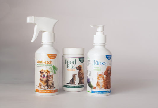 Dandruff Combo Economy