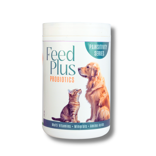 Jumbo Feed Plus Probiotic Multi-Vitamin