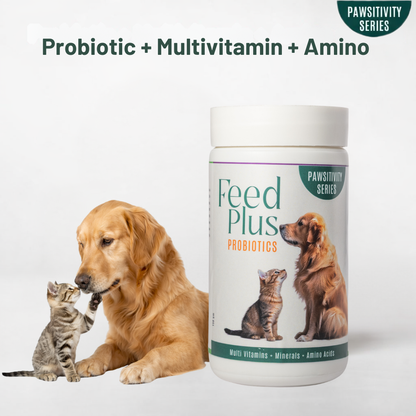 Jumbo Feed Plus Probiotic Multi-Vitamin
